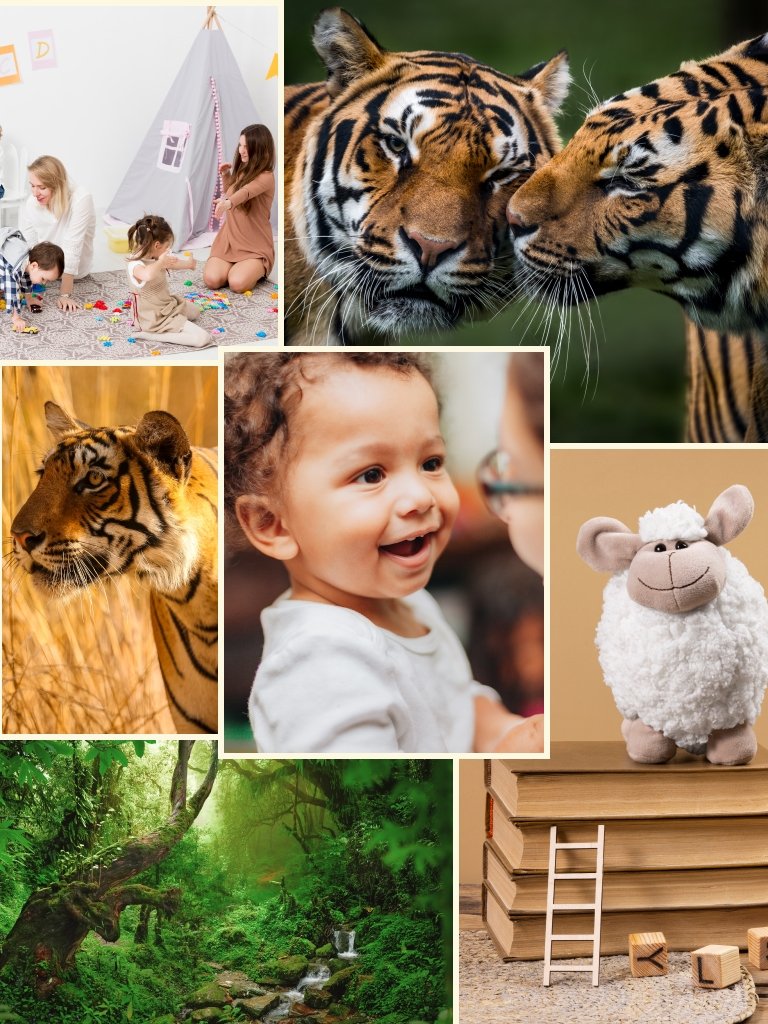 Moodboard crèche les tigreaux brief créatif